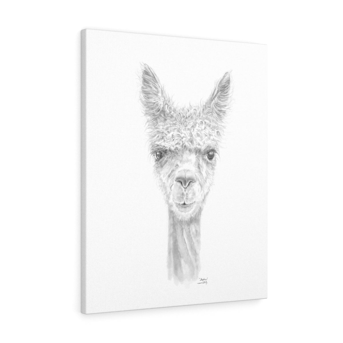 STEPHEN Llama - Art Canvas