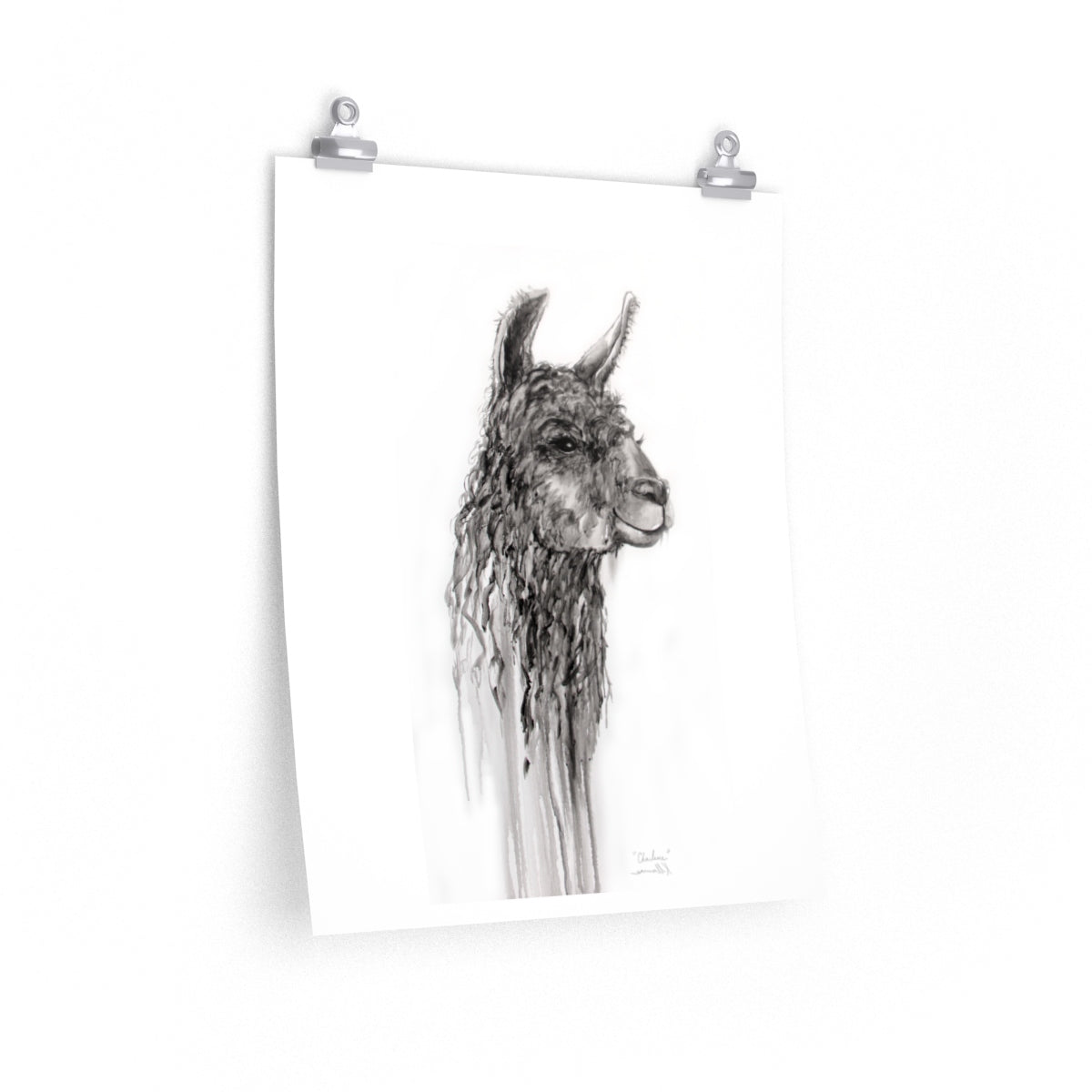 CHARLENE Llama- Art Paper Print