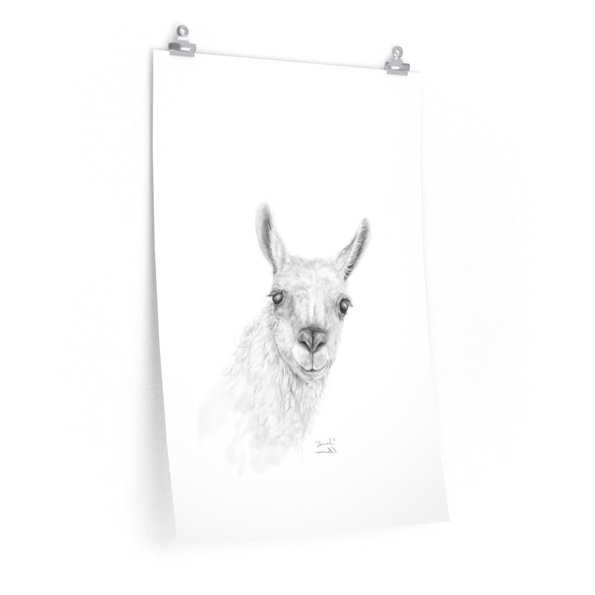 SARRAH Llama- Art Paper Print