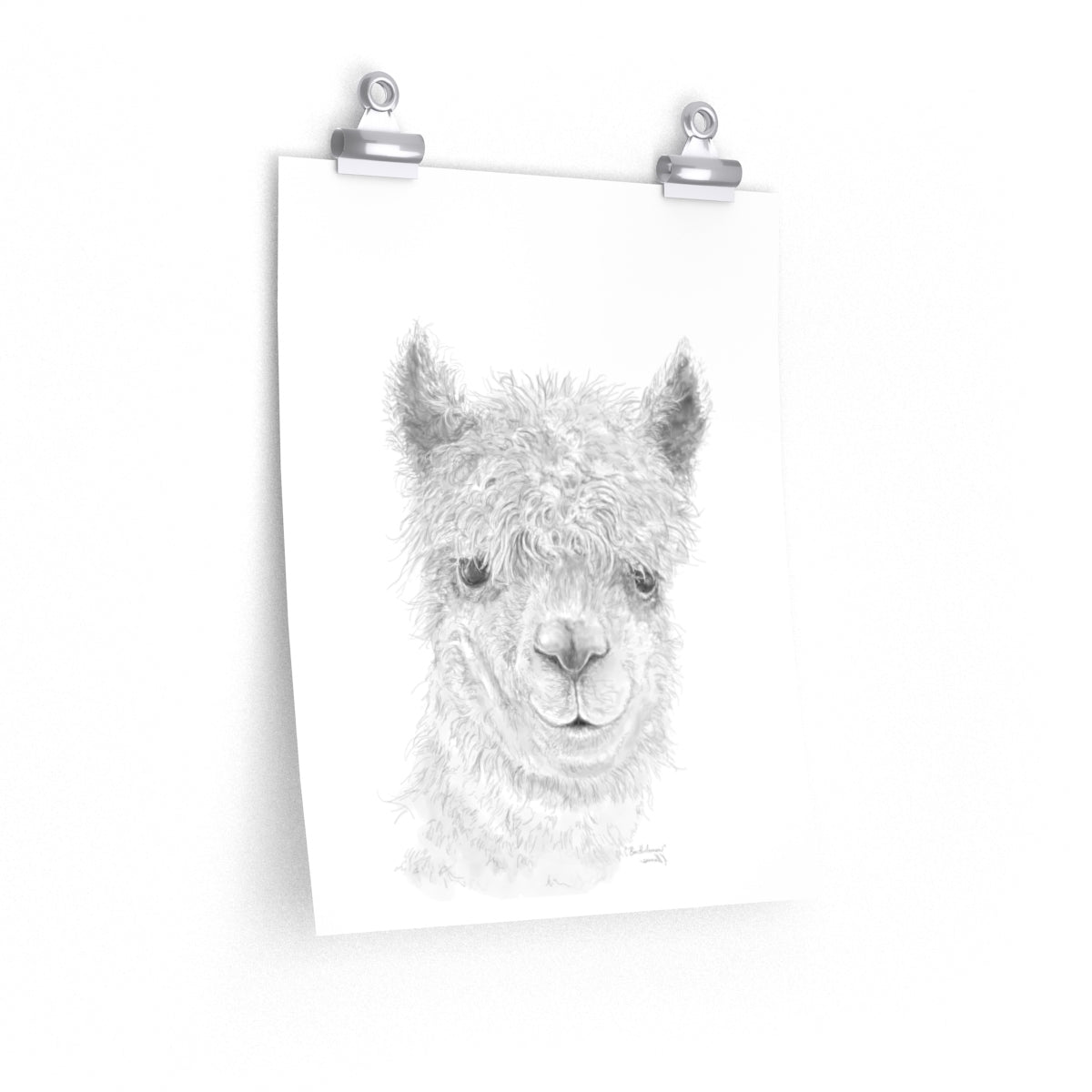 BARTHOLOMEW Llama- Art Paper Print