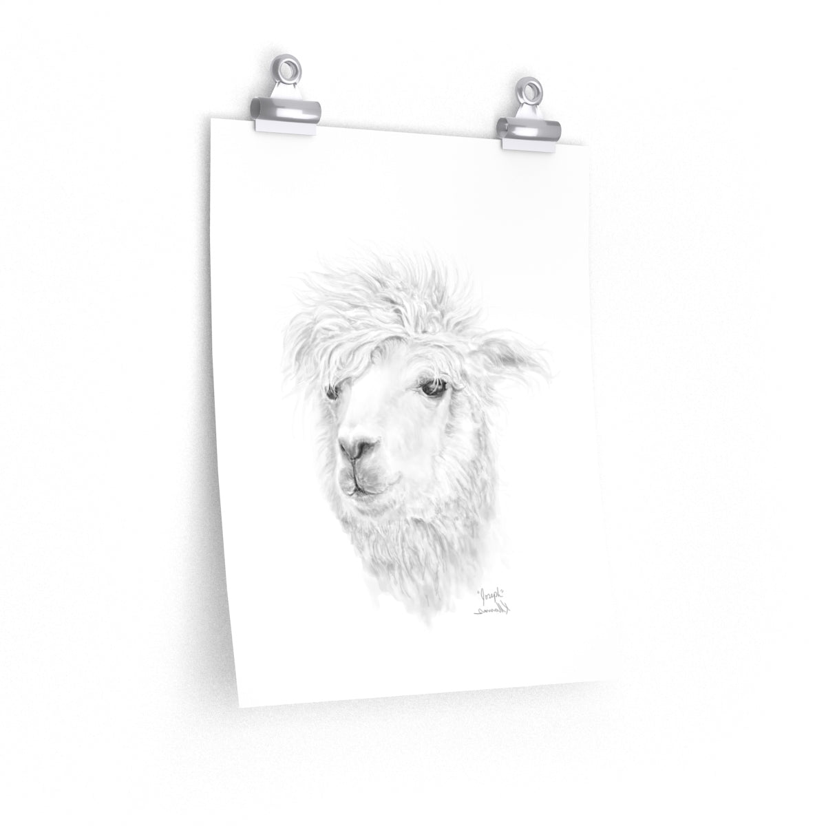 JOSEPH Llama- Art Paper Print