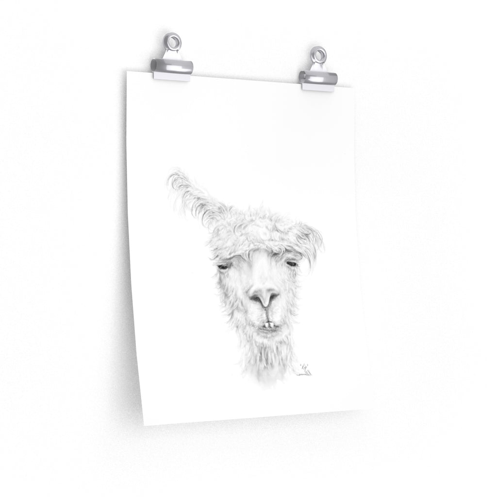 KIP Llama- Art Paper Print