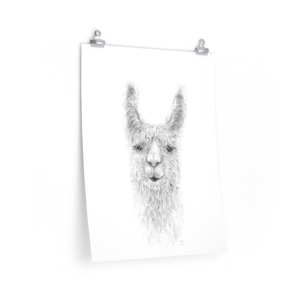 NIKKI Llama- Art Paper Print