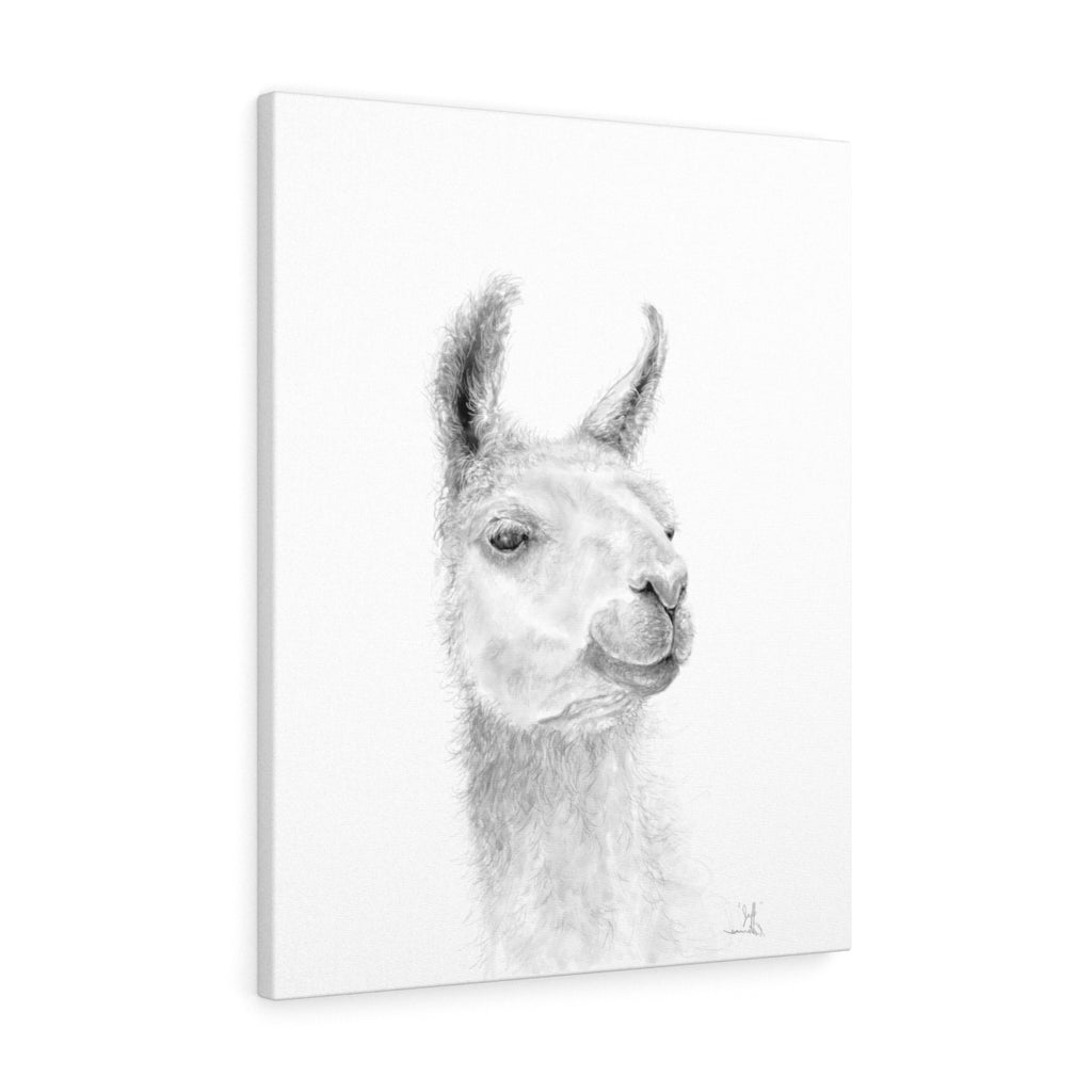 JEFF Llama - Art Canvas