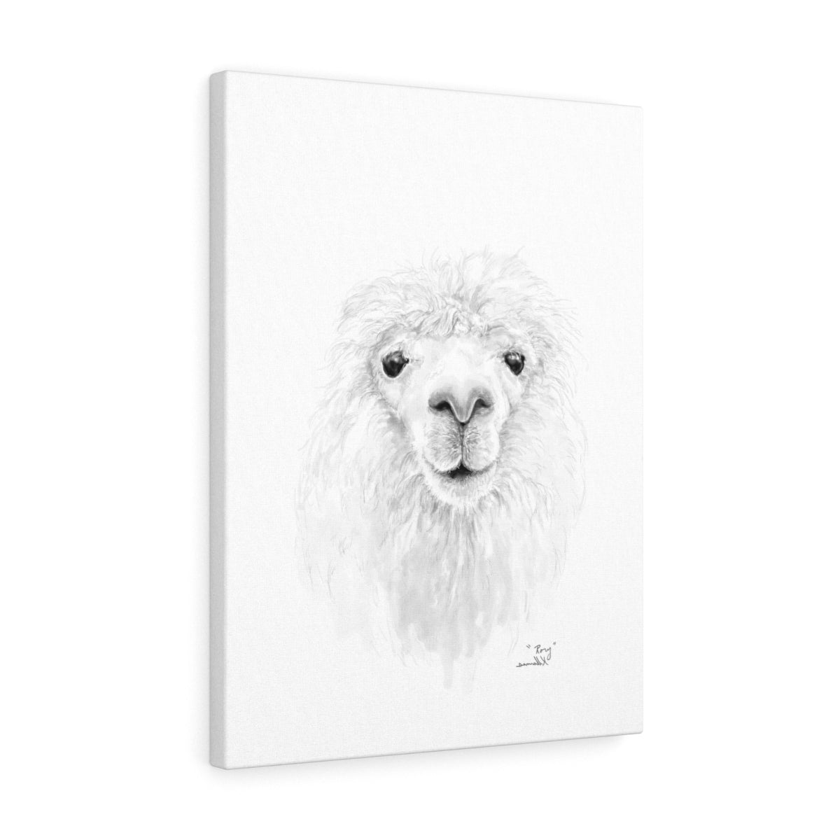 RORY Llama - Art Canvas
