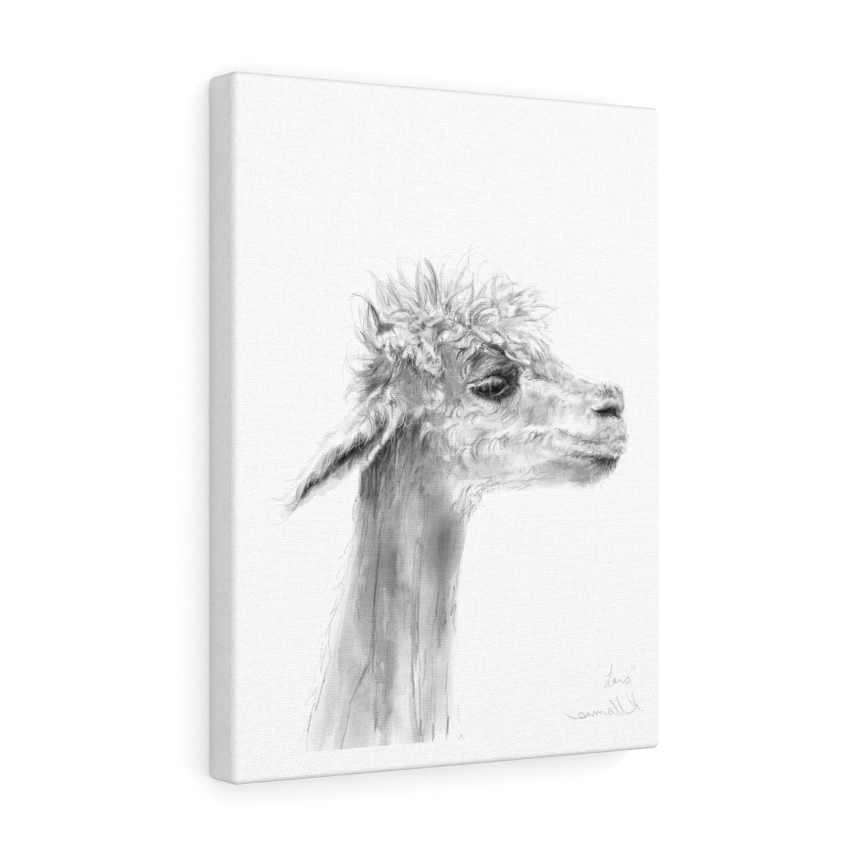 LARS Llama - Art Canvas