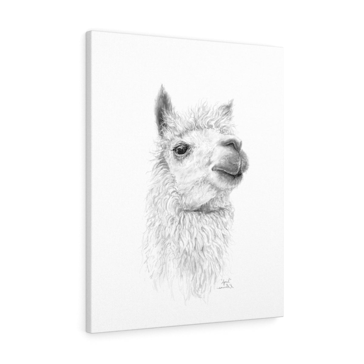 APRIL Llama - Art Canvas