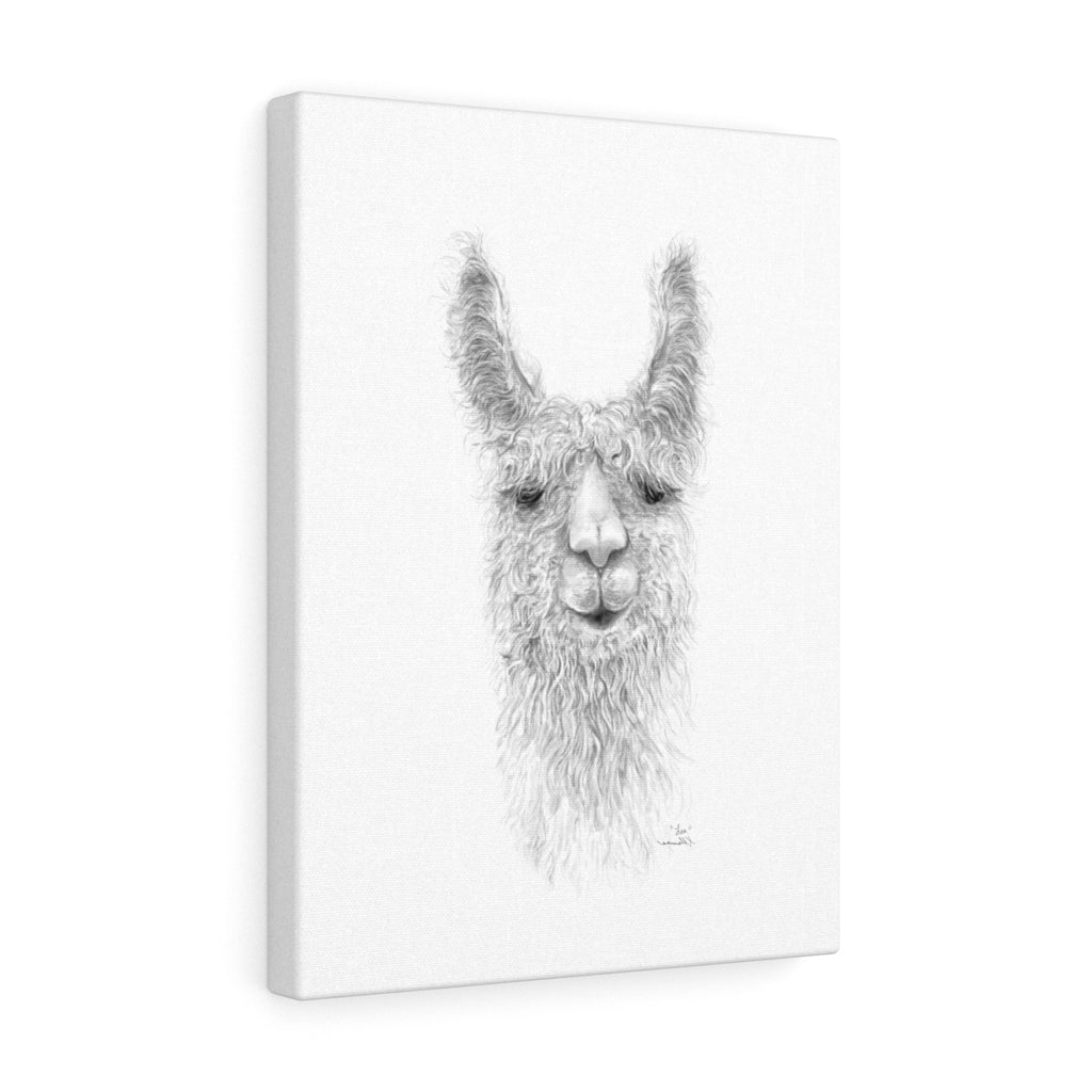 LEA Llama - Art Canvas
