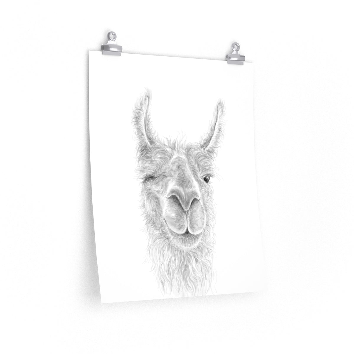 EMILIE Llama- Art Paper Print