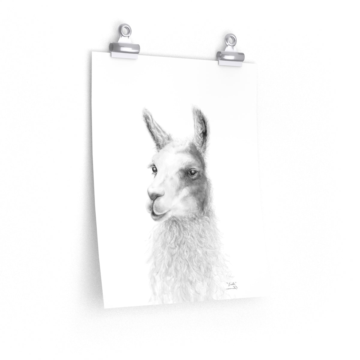 KRISTA Llama- Art Paper Print