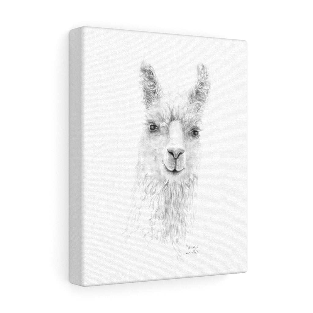 NICOLE Llama - Art Canvas