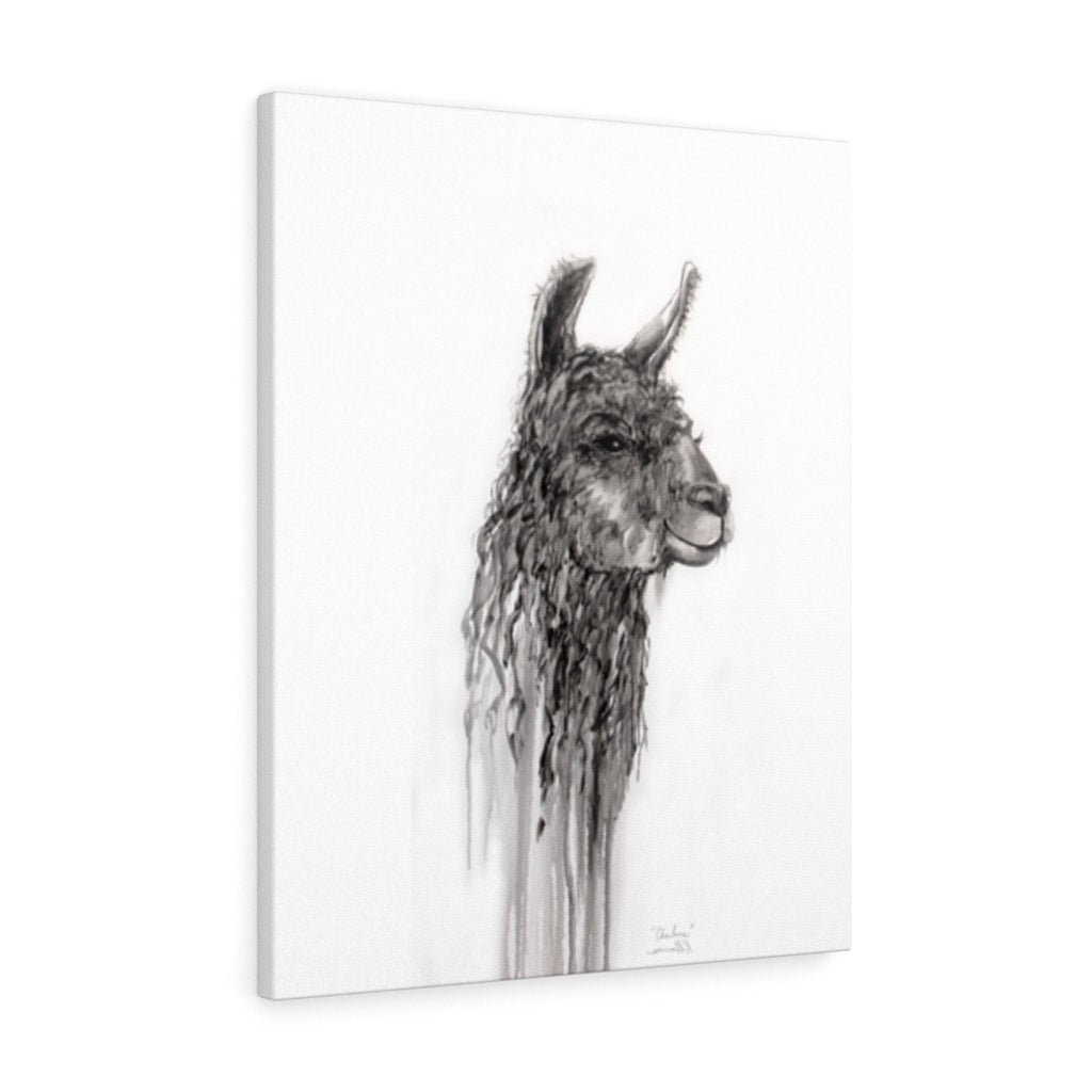 CHARLENE Llama - Art Canvas