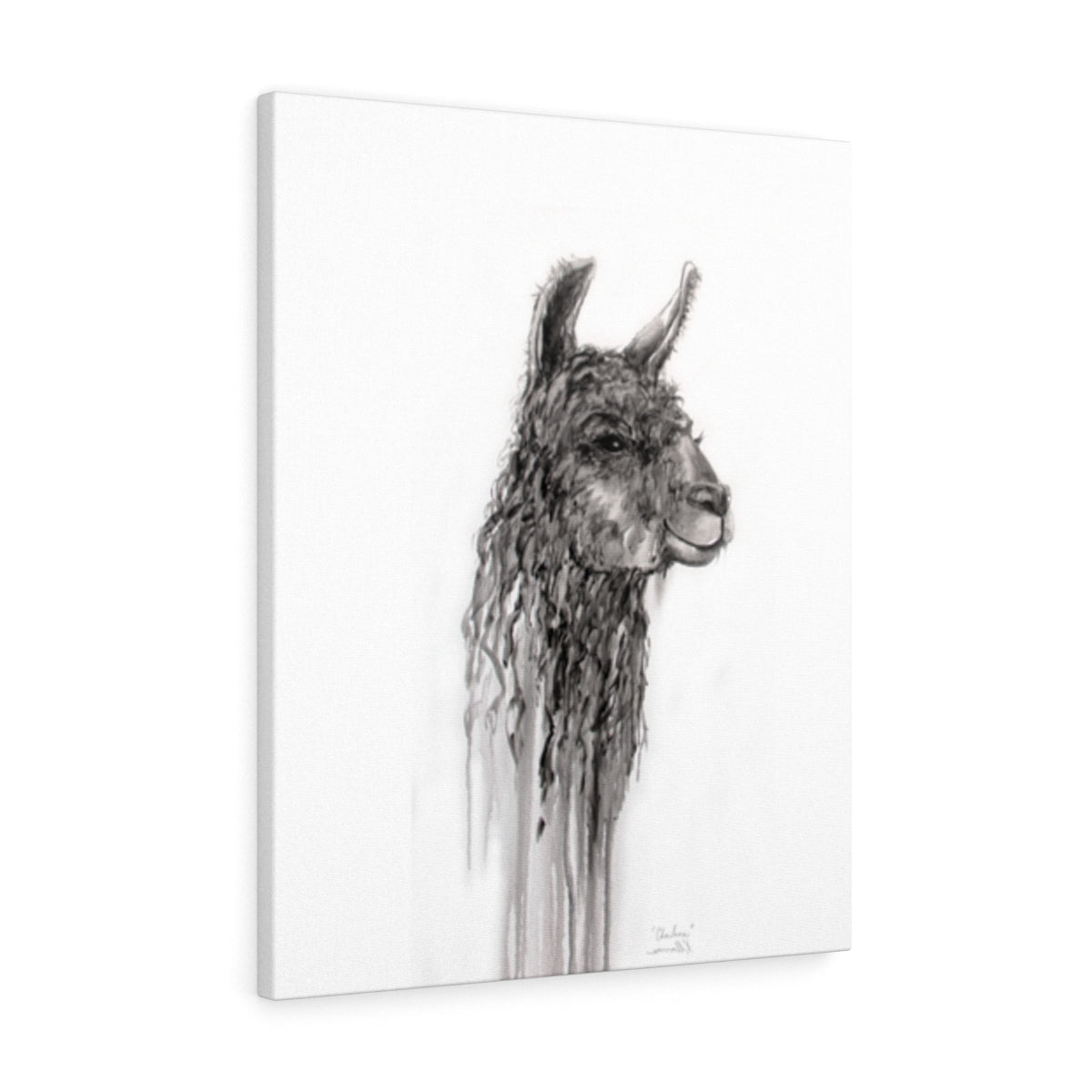 CHARLENE Llama - Art Canvas