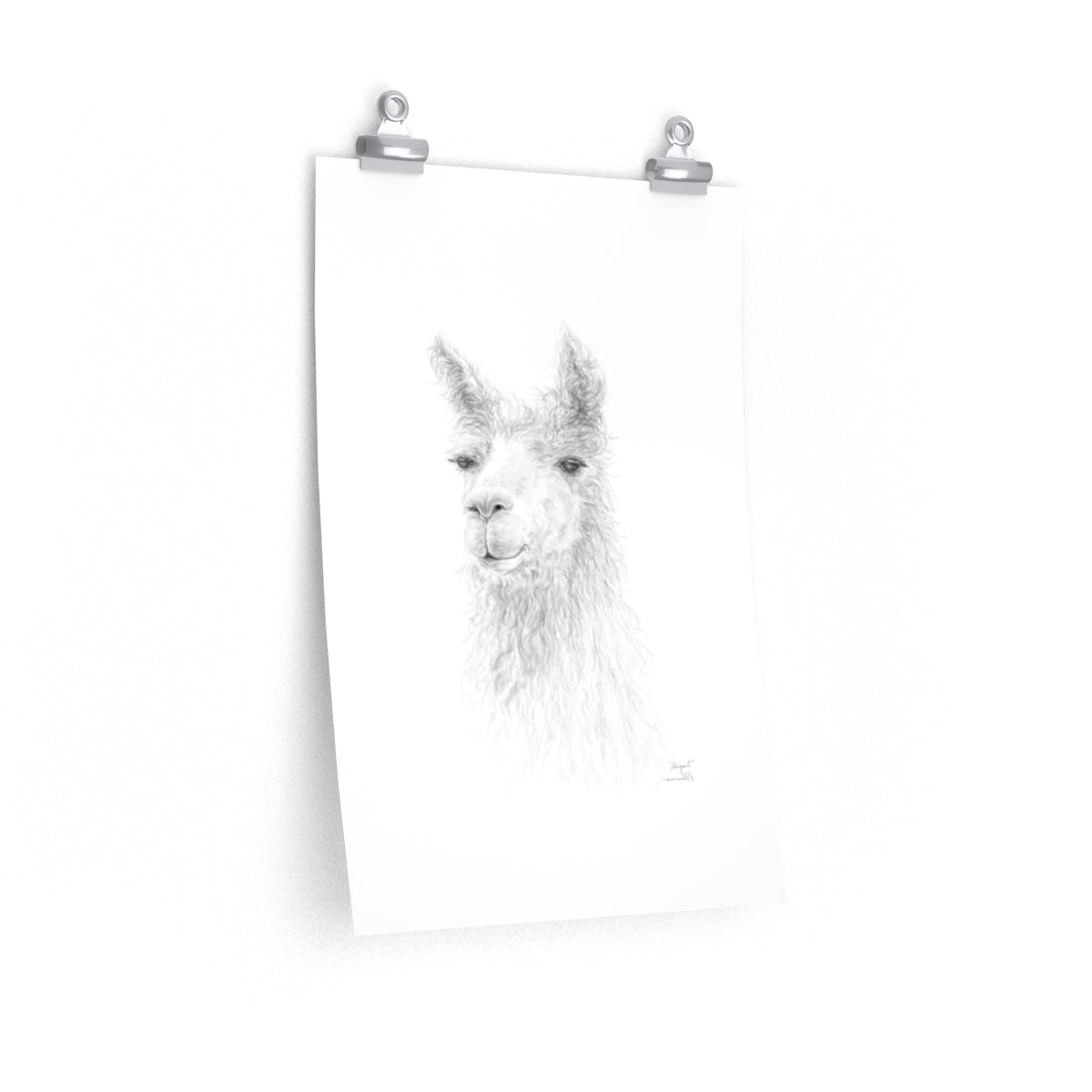 ABIGAIL Llama- Art Paper Print