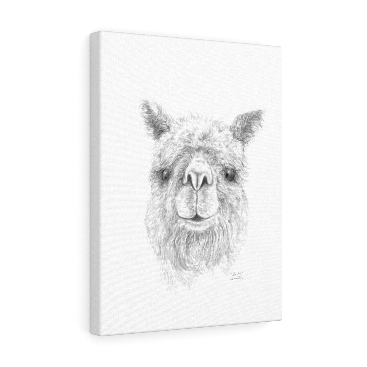 SANDRA Llama - Art Canvas