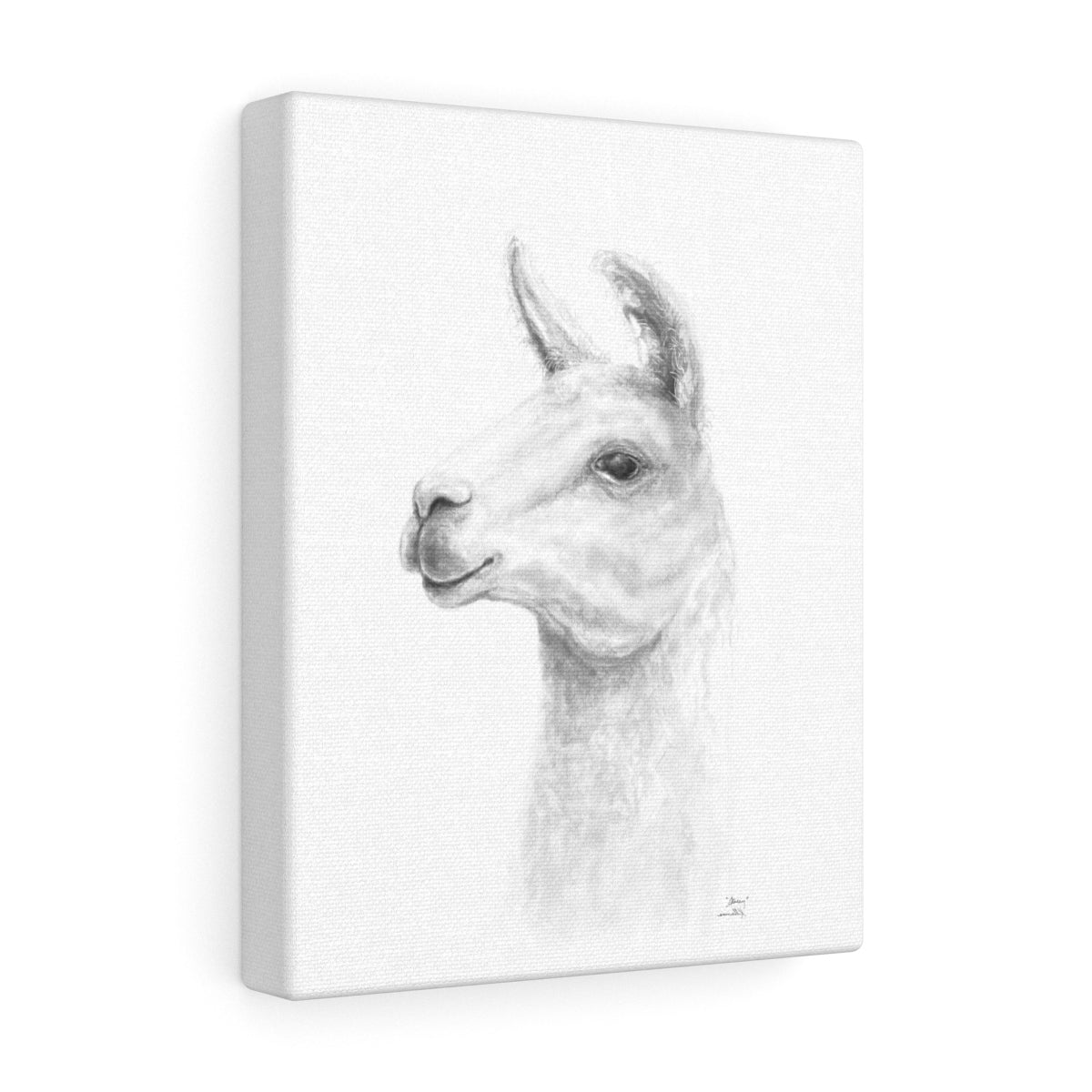 STACY Llama - Art Canvas