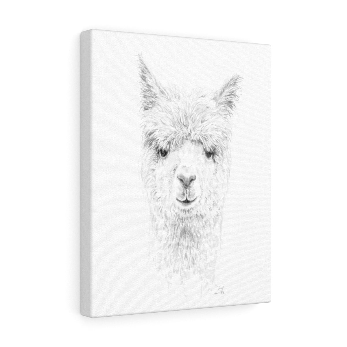 DOUG Llama - Art Canvas