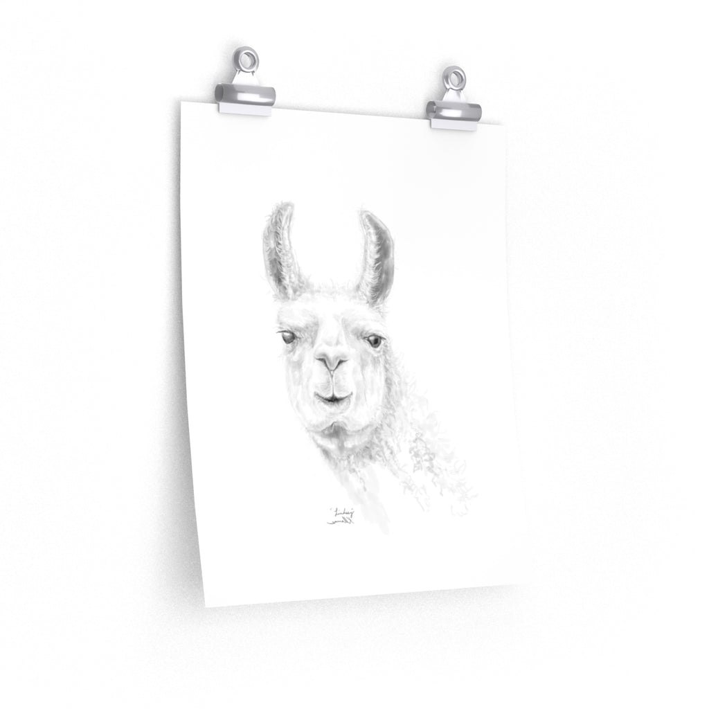 LINDSEY Llama- Art Paper Print