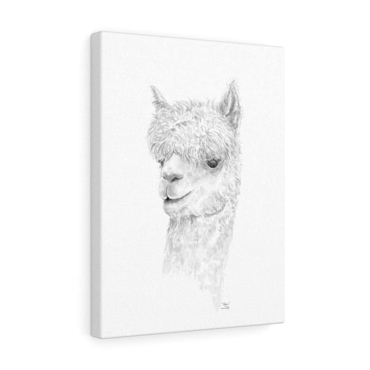 DYLAN Llama - Art Canvas