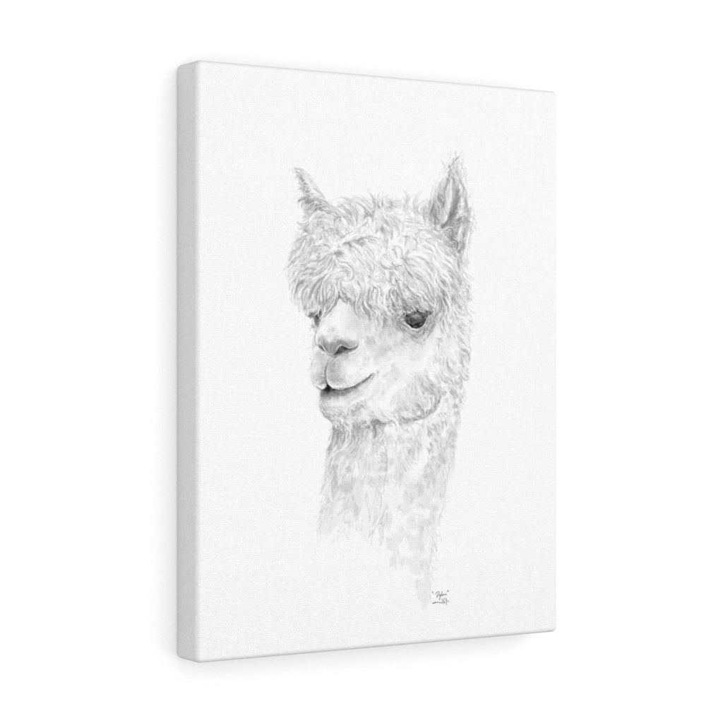 DYLAN Llama - Art Canvas