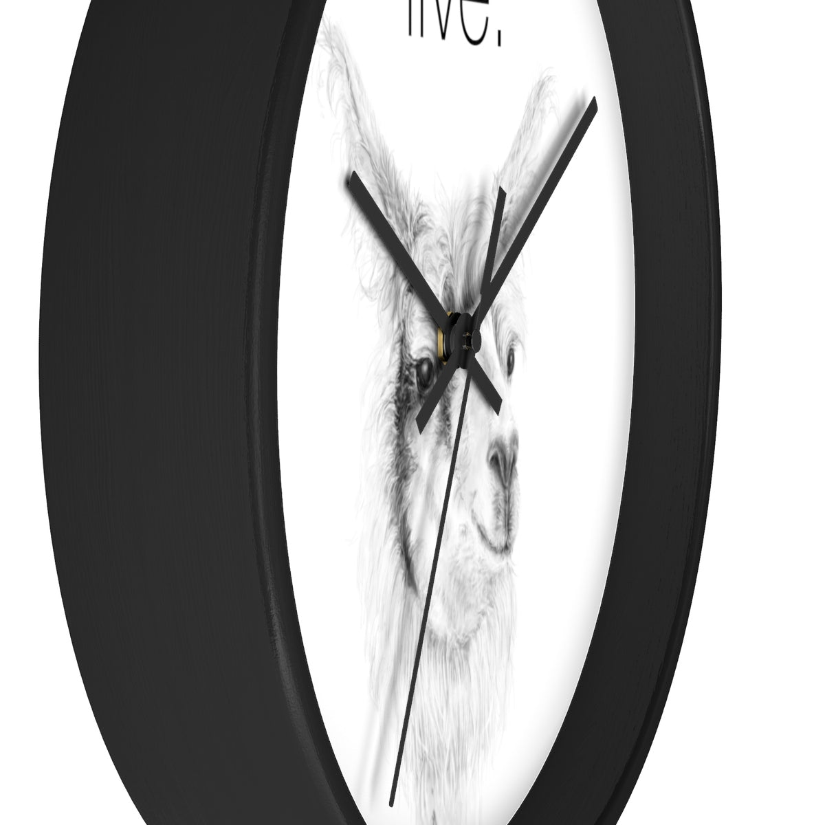 Llama LIVE Wall clock: ADAM