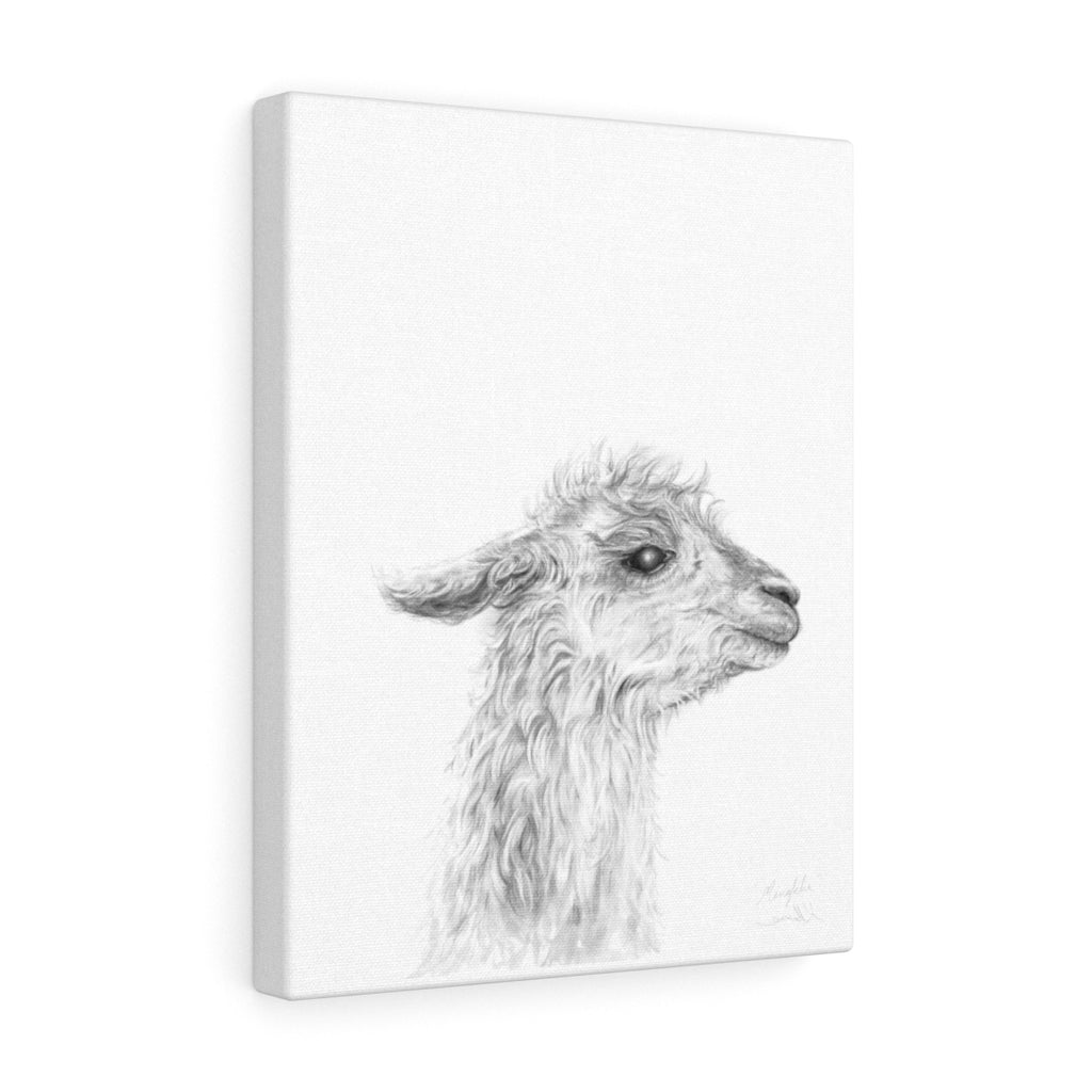 MENKHA - Canvas