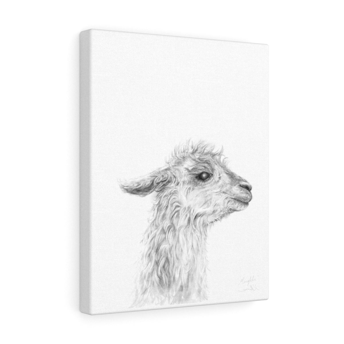 MENKHA - Canvas