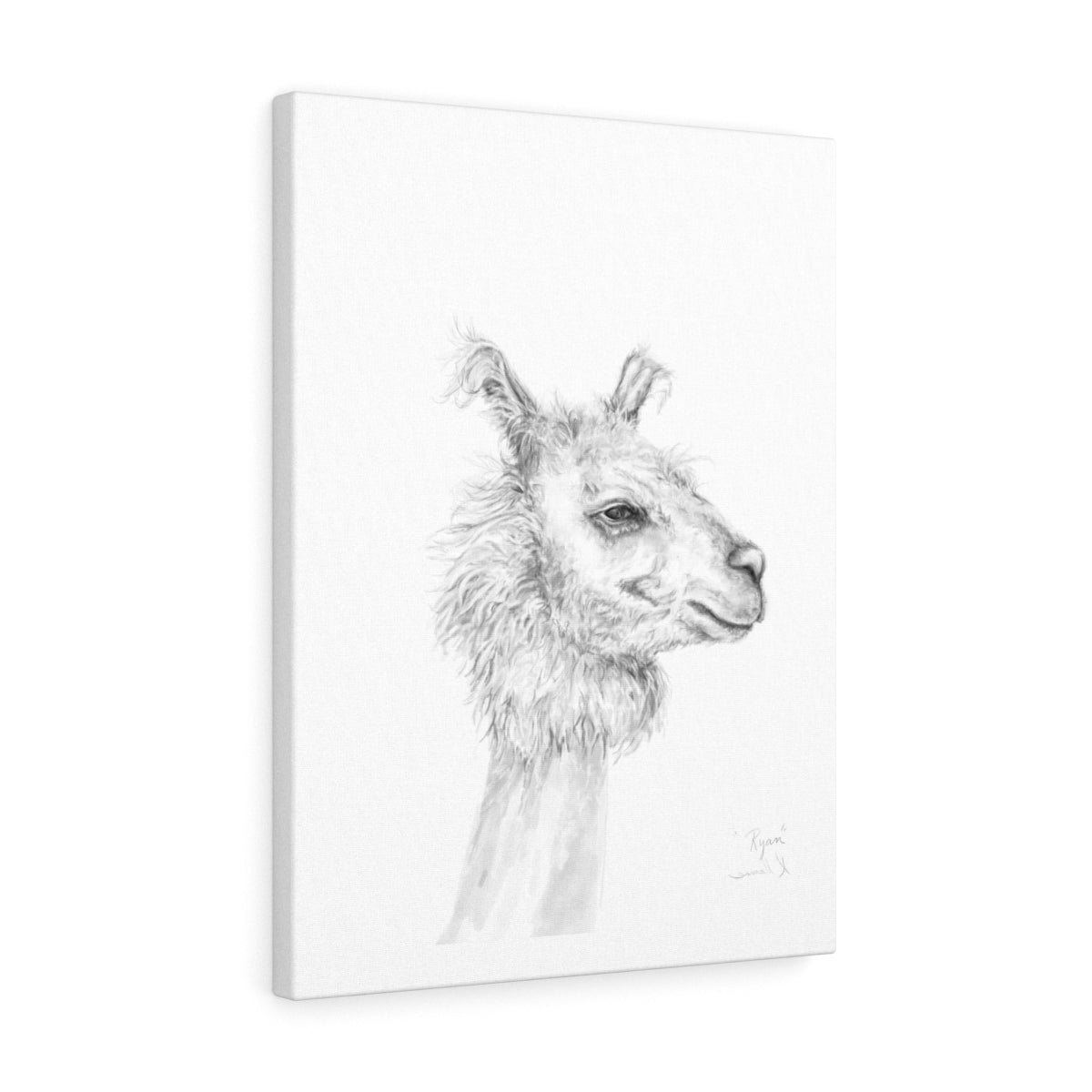 RYAN Llama - Art Canvas
