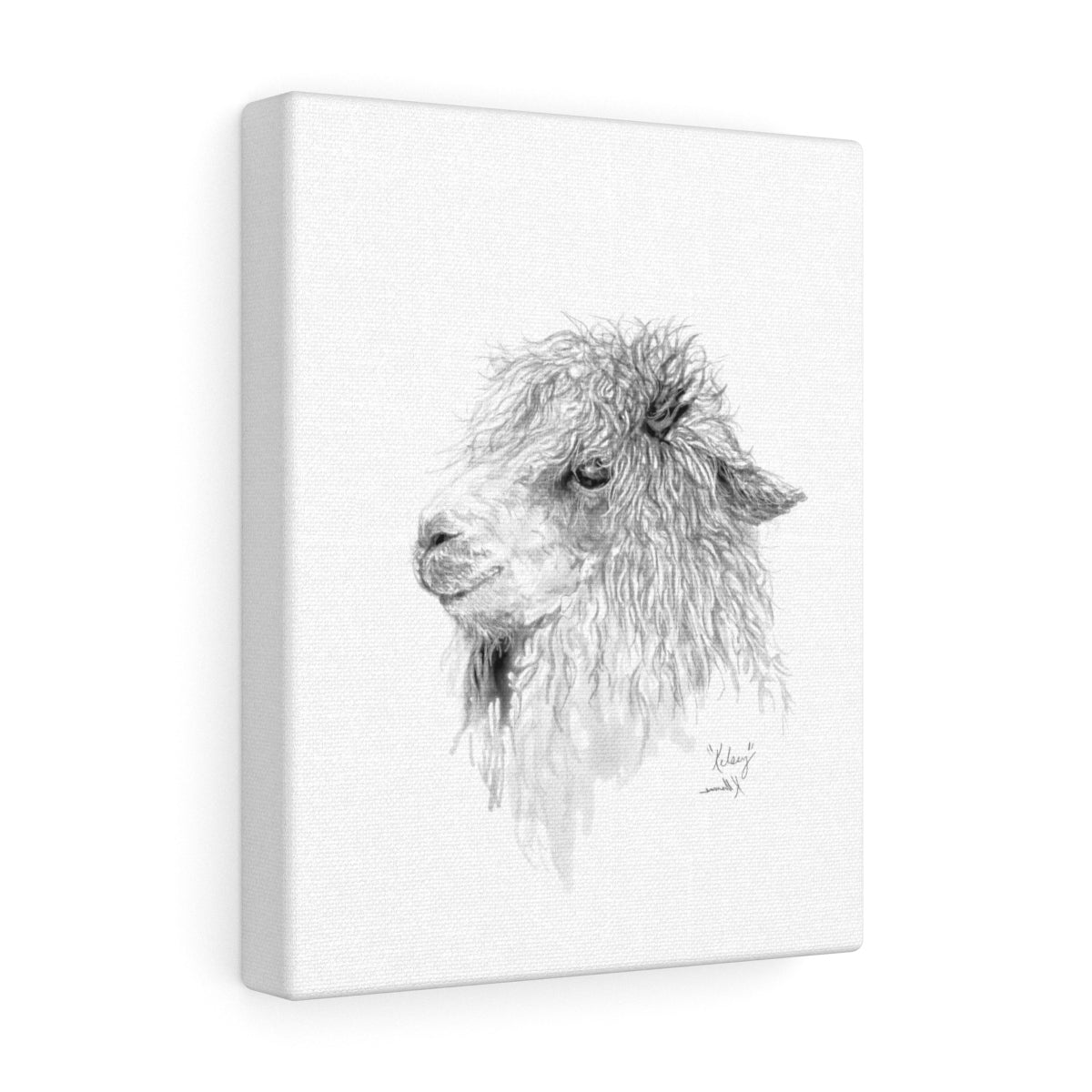 KELSEY Llama - Art Canvas