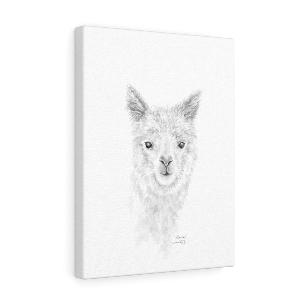 ALARIA Llama- Art Canvas