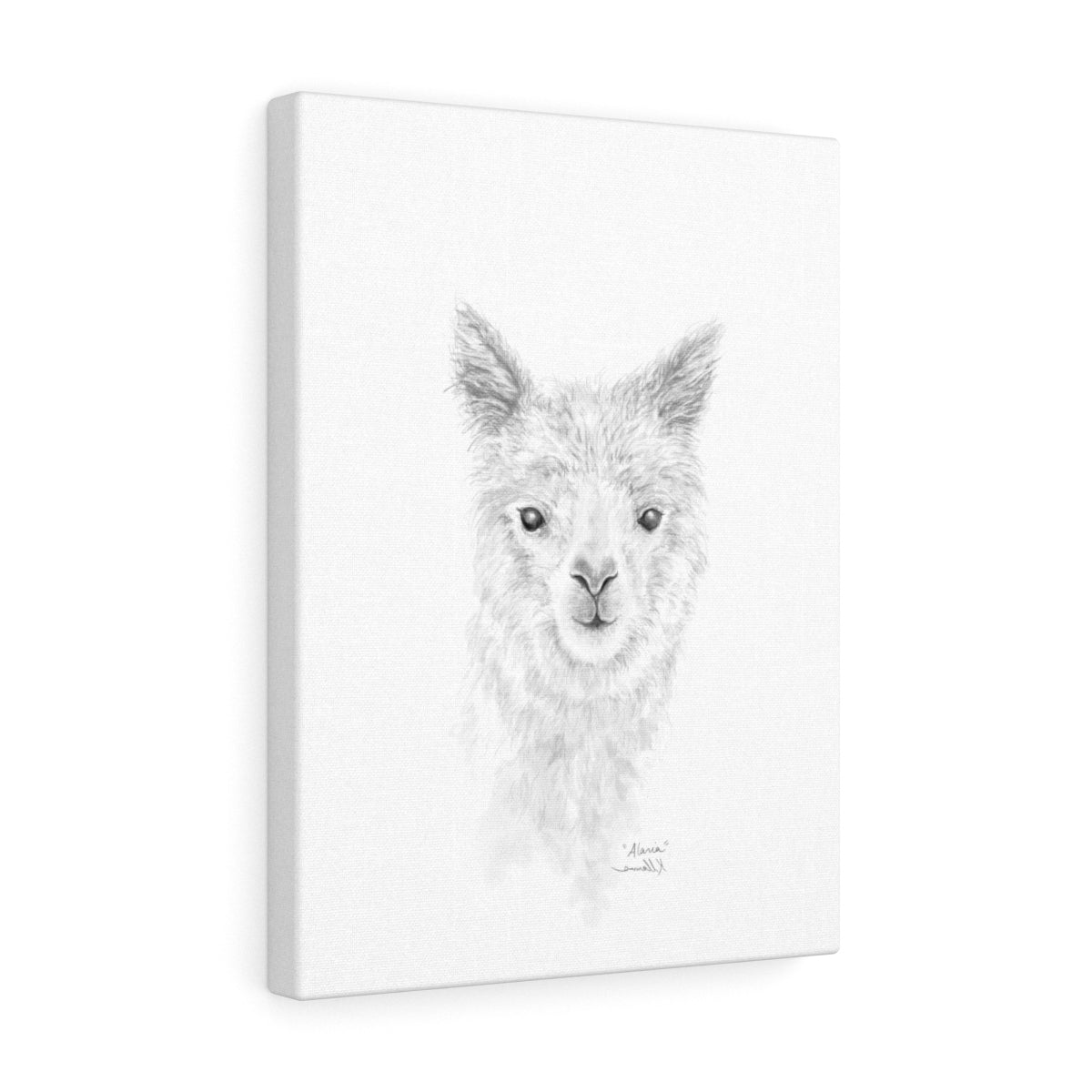 ALARIA Llama- Art Canvas
