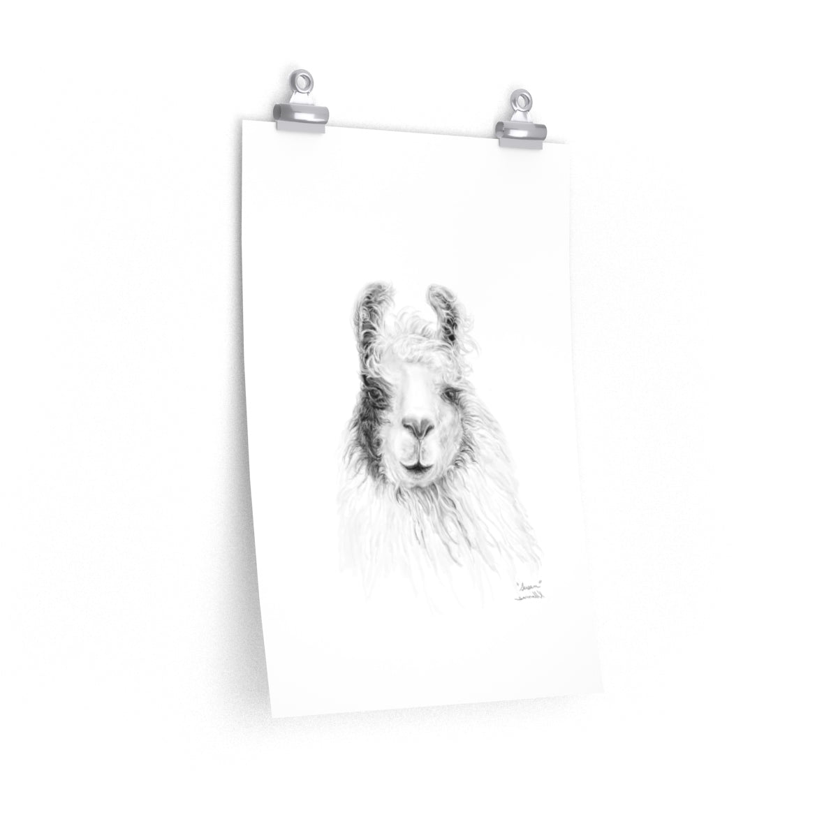 SUSAN Llama- Art Paper Print