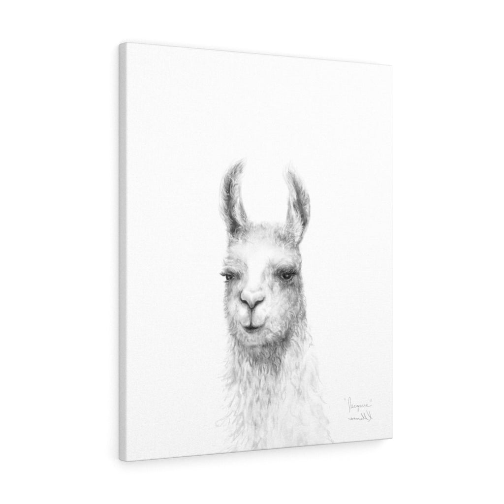 JACQUIE Llama - Art Canvas