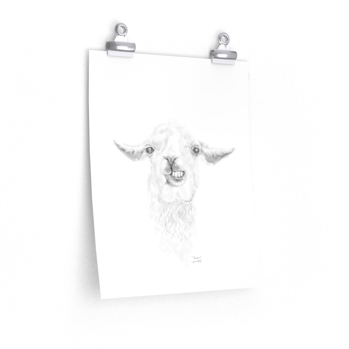 BRIAN Llama- Art Paper Print