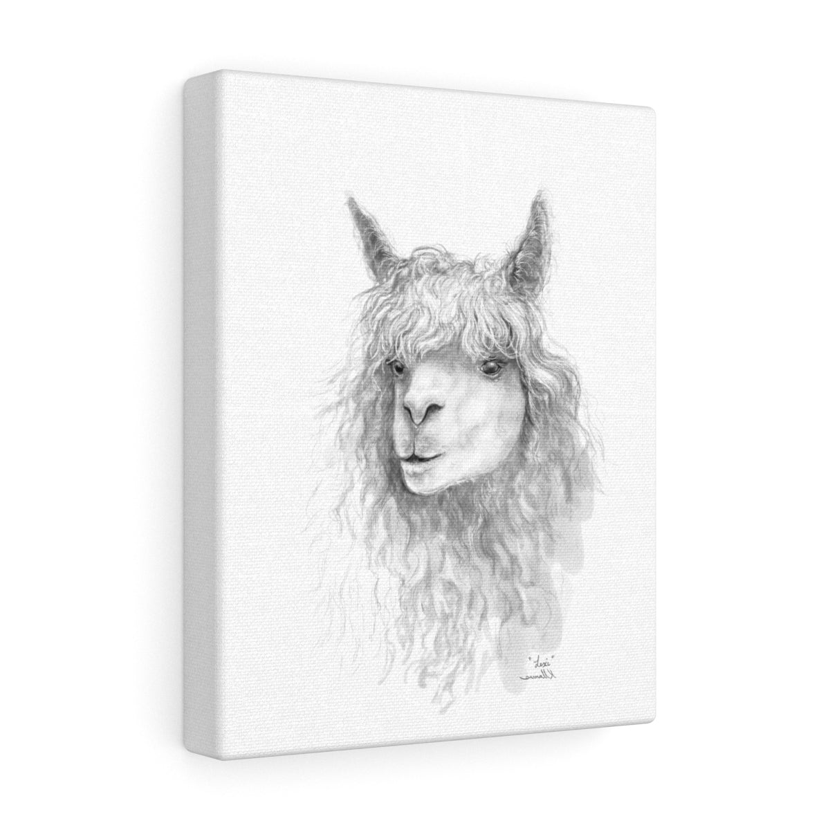 LEXI Llama - Art Canvas
