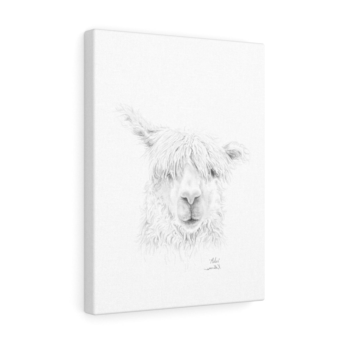 MILES Llama - Art Canvas