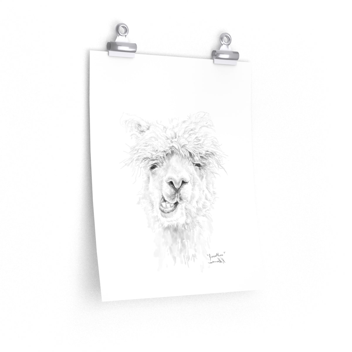 JONATHON Llama- Art Paper Print