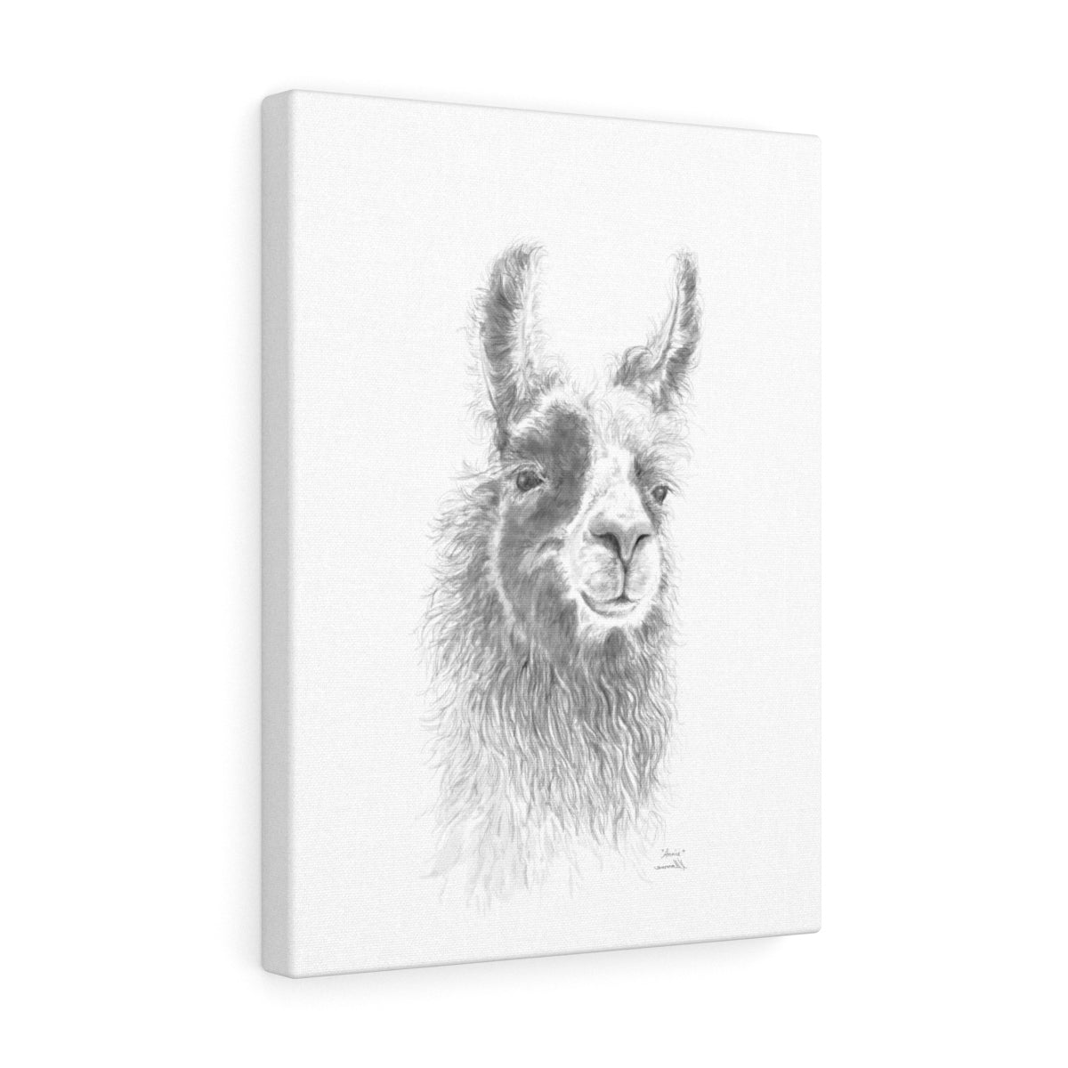 ANNIE Llama - Art Canvas