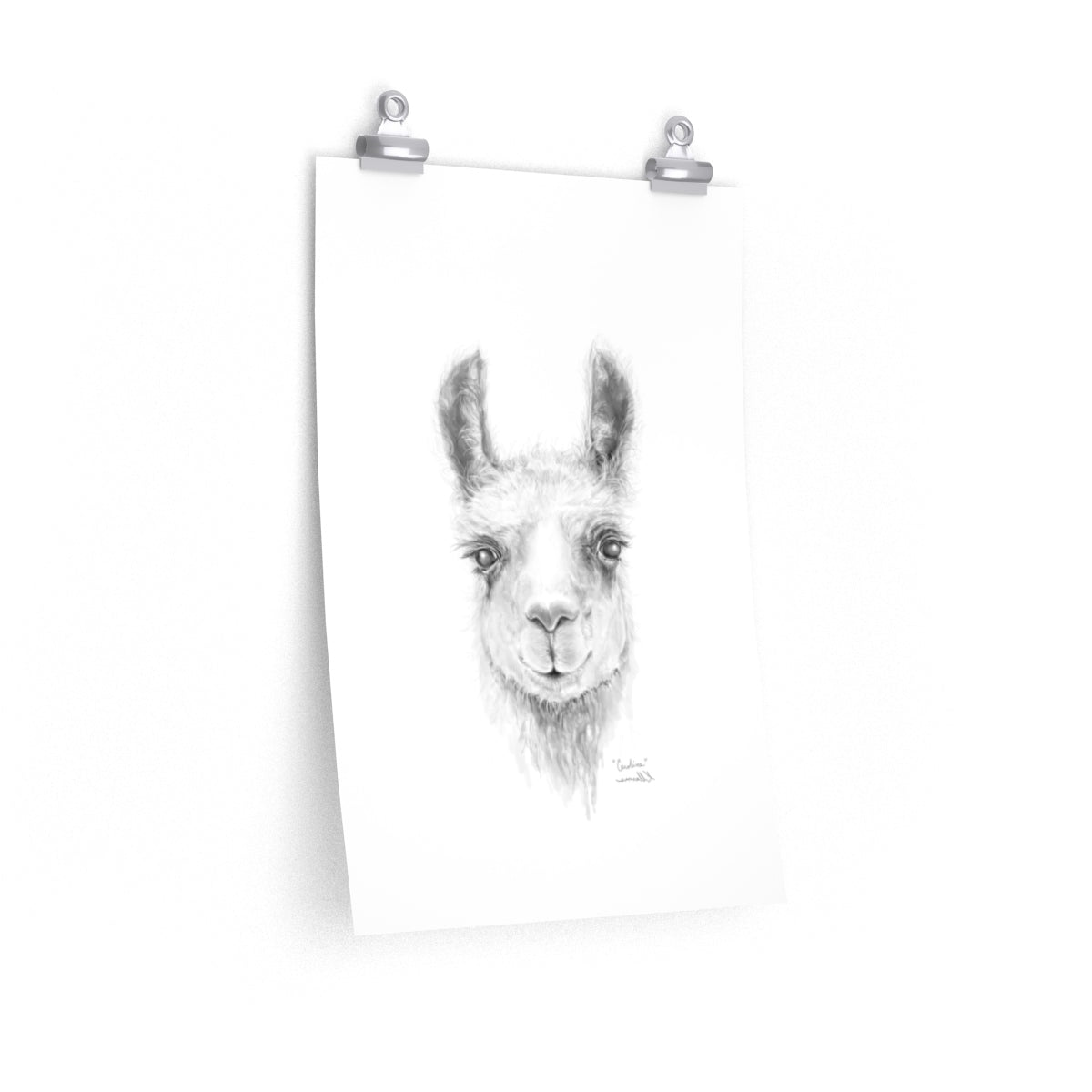 CAROLINE Llama- Art Paper Print