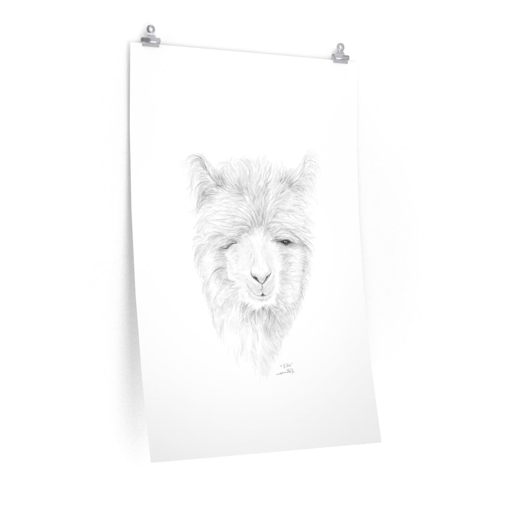 EDIE Llama- Art Paper Print