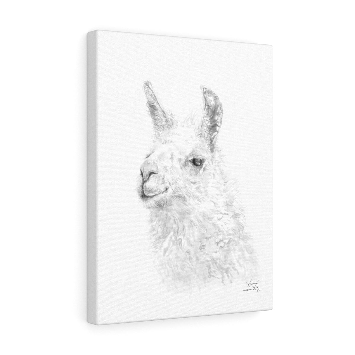 KEVIN Llama - Art Canvas