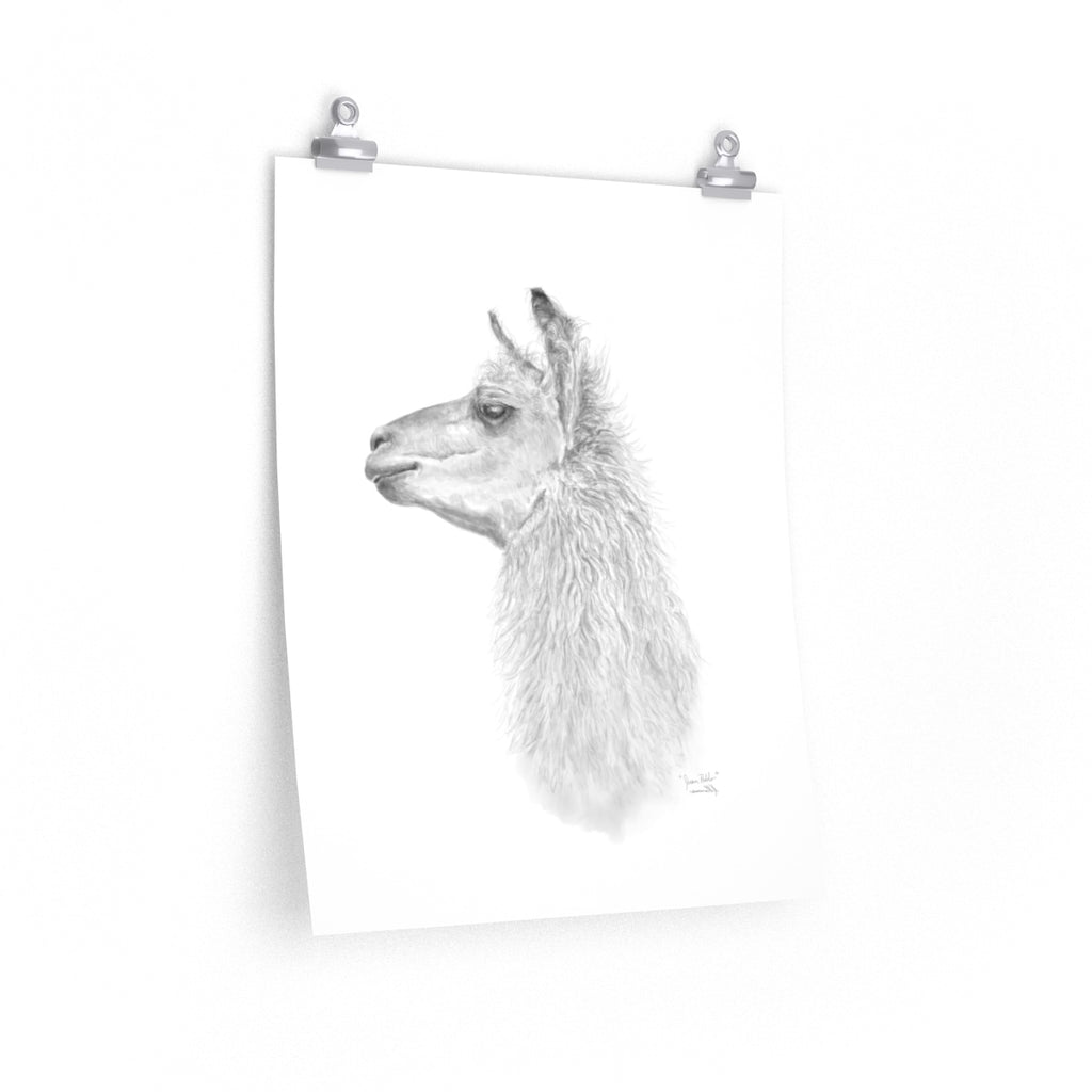 JUAN PABLO Llama- Art Paper Print