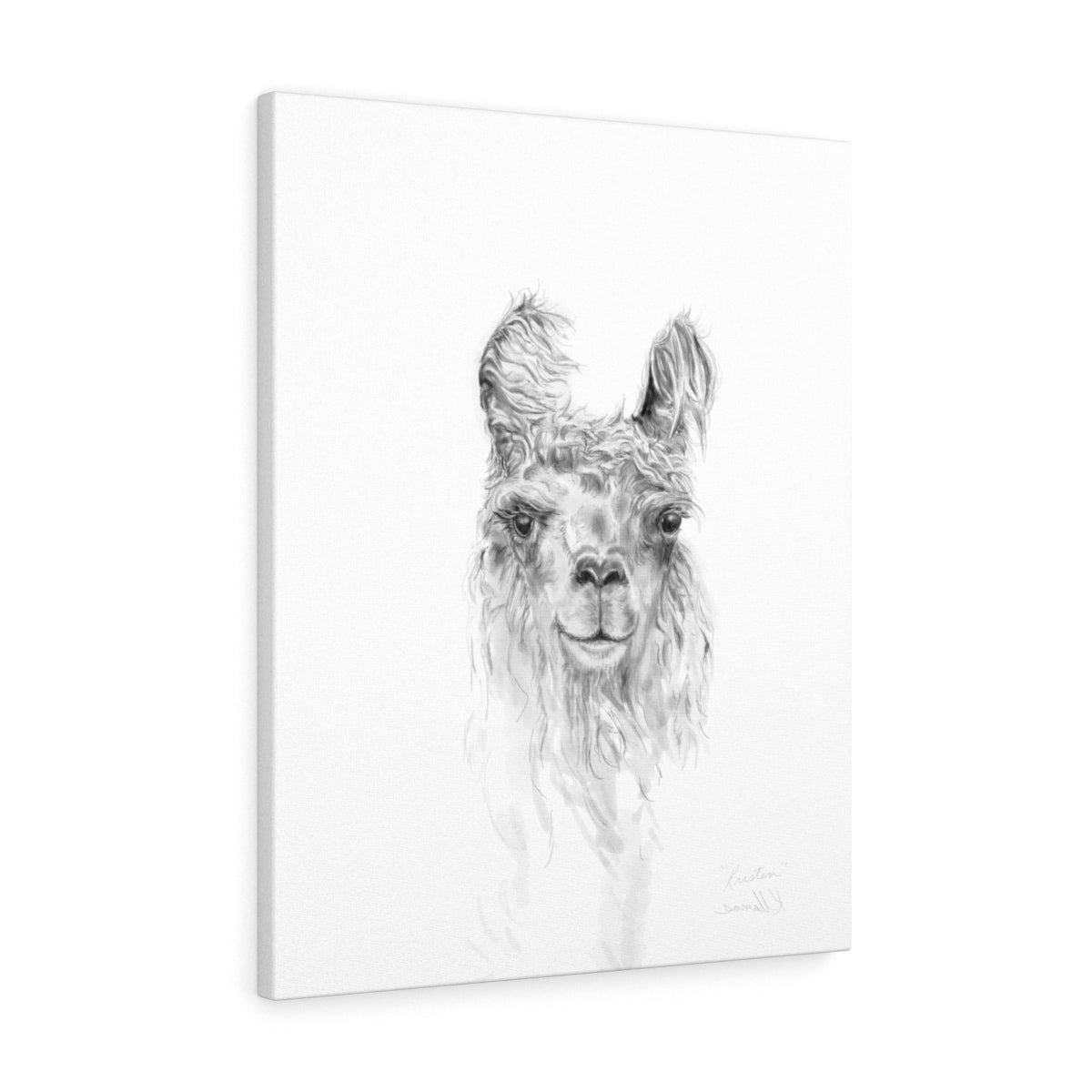 KRISTEN Llama - Art Canvas