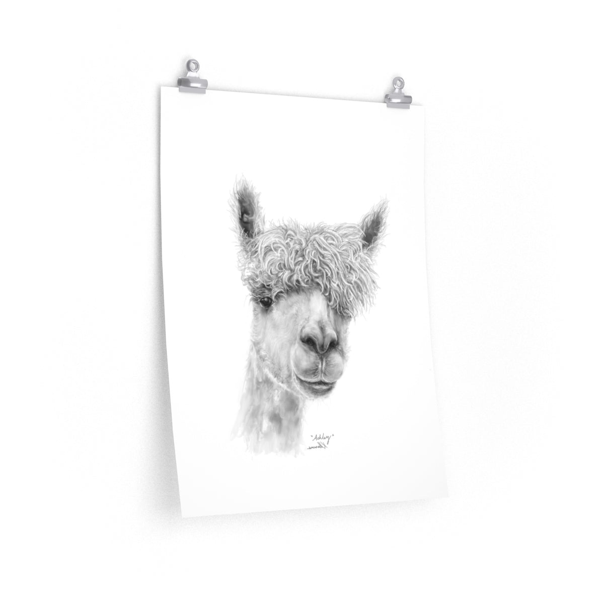 ASHLEY Llama - Art Paper Print