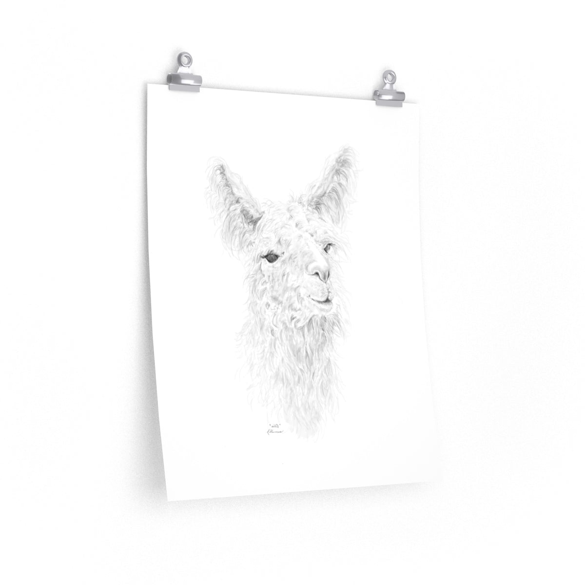 ELLIE Llama- Art Paper Print