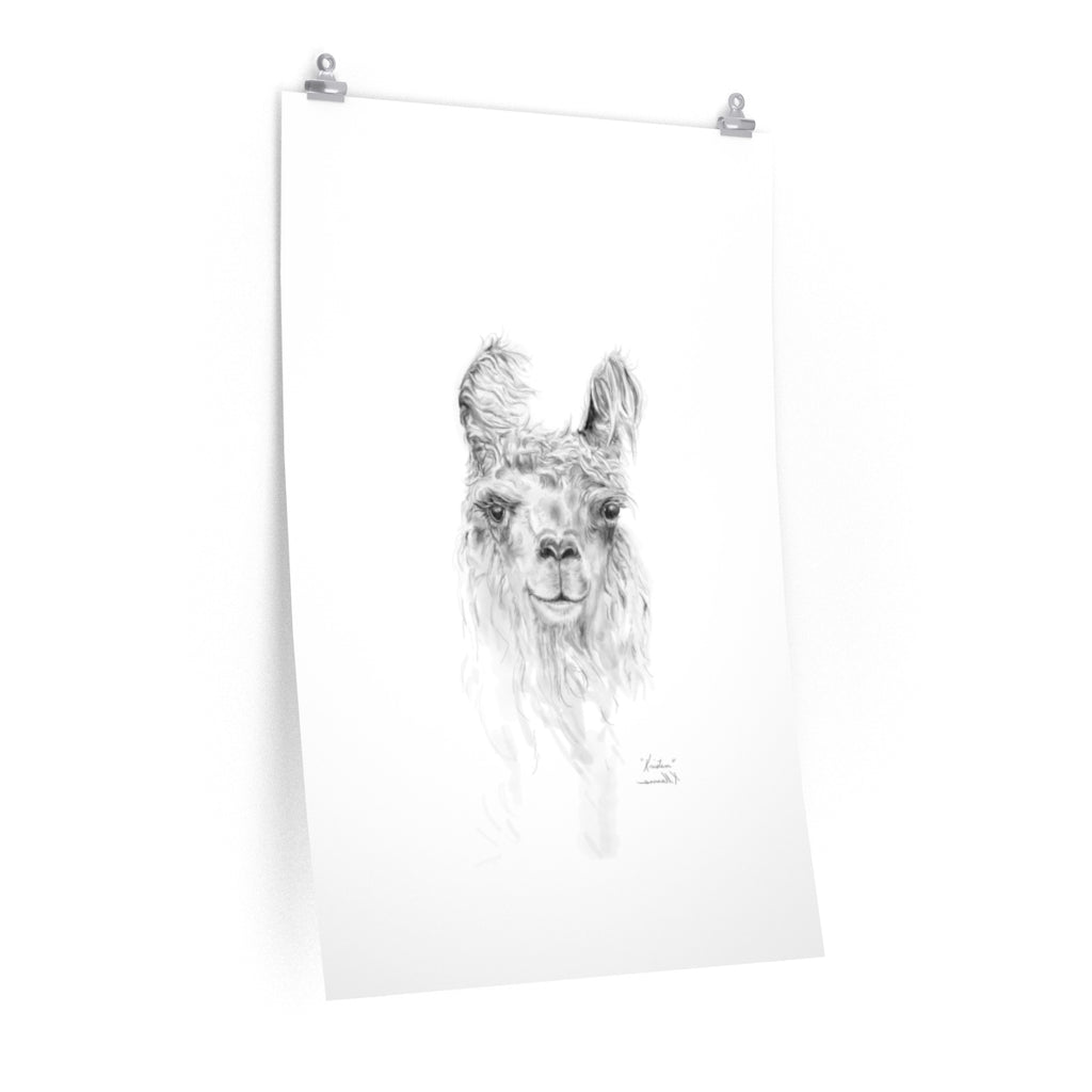 KRISTEN Llama- Art Paper Print