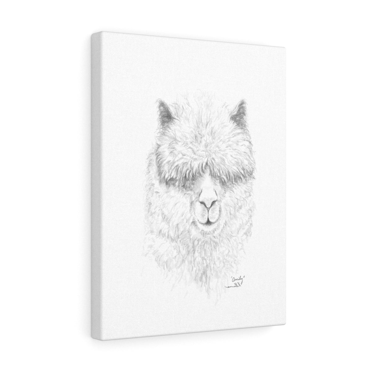 OMILY Llama - Art Canvas