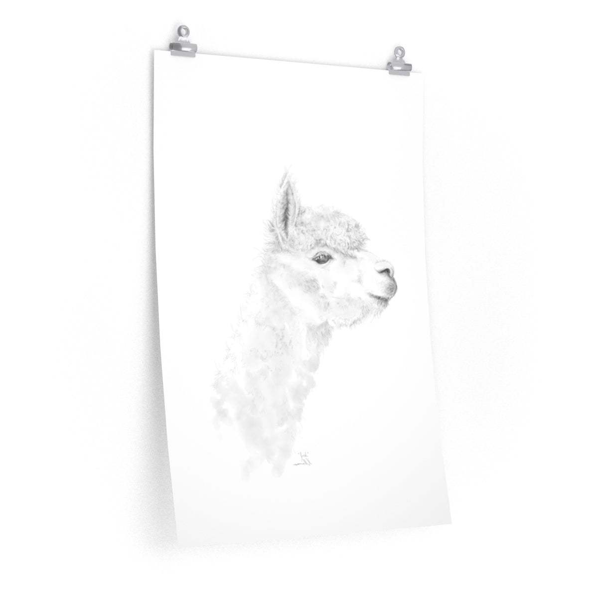 JOSH Llama- Art Paper Print