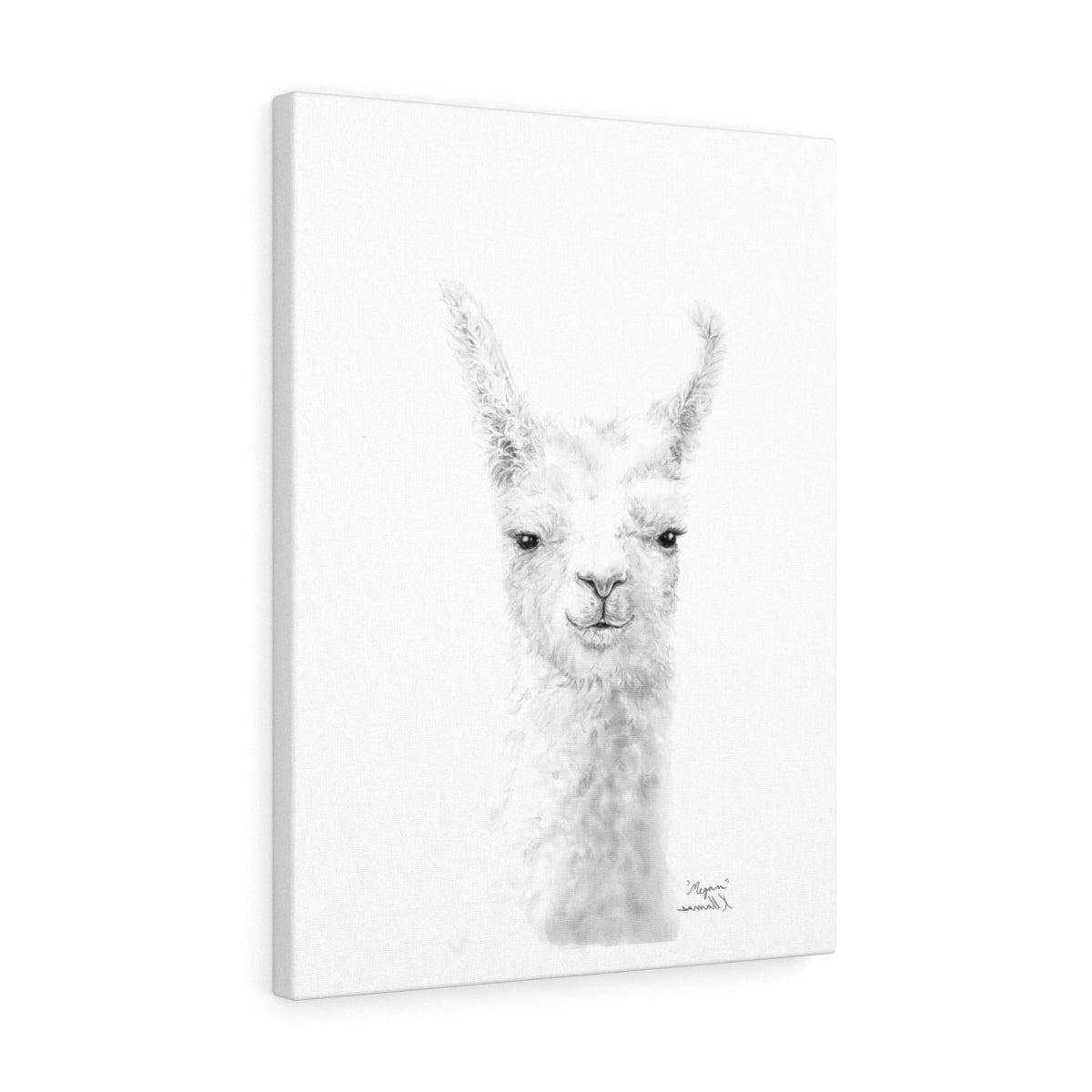 MEGAN Llama - Art Canvas