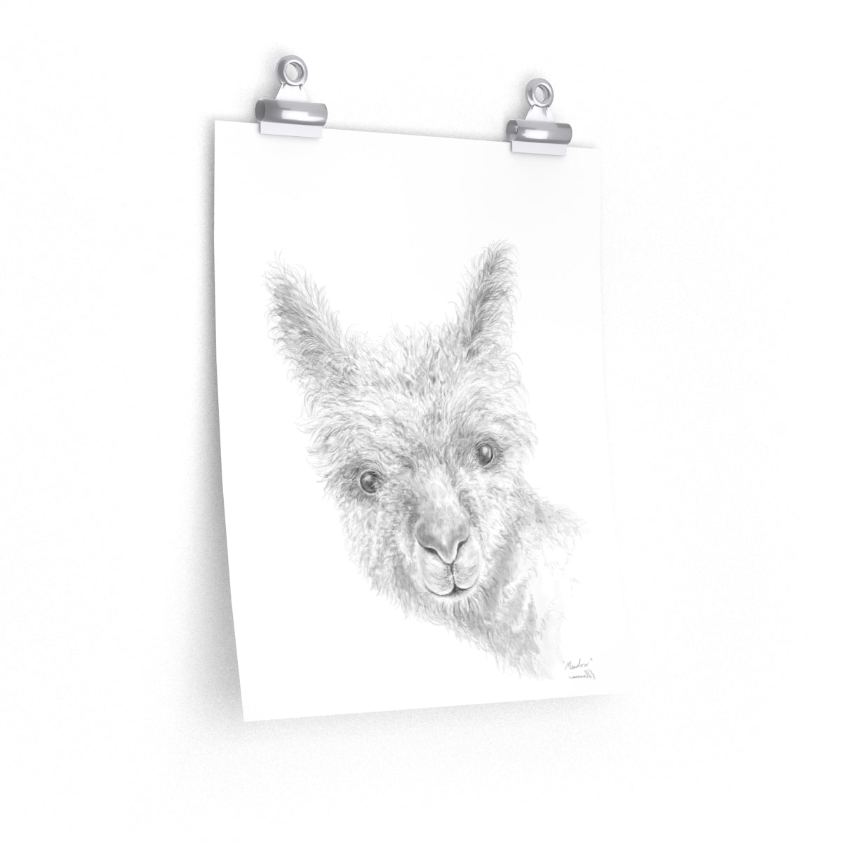 MEADOW Llama- Art Paper Print